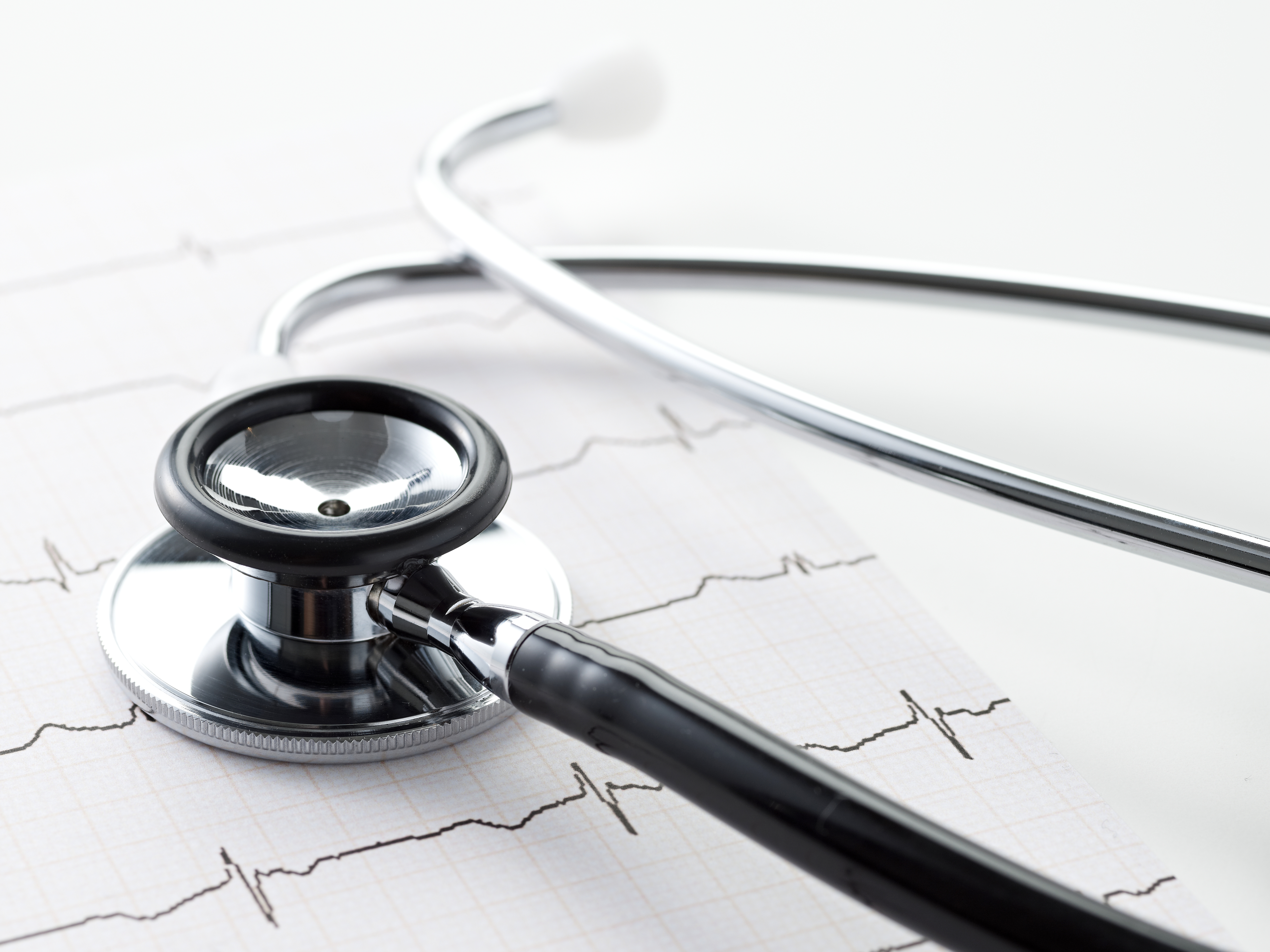 Citrus County FL ACO